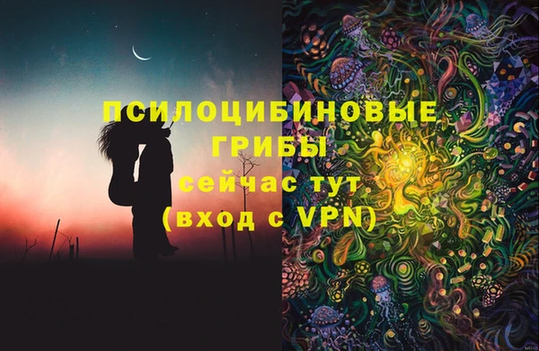 PSILOCYBIN Белокуриха